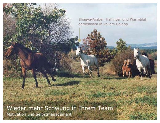 Wieder mehr Schwung in Ihrem Team - Motivation und Selbstmanagement