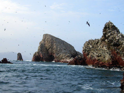 Ballestas Inseln