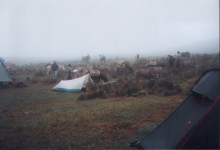 Campingplatz Pinan-Gebirge Campingplatz Pinan-Gebirge